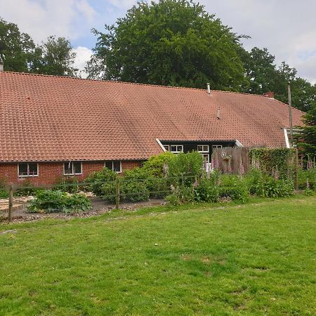 Westert Hoeve Vriescheloo Exteriör bild