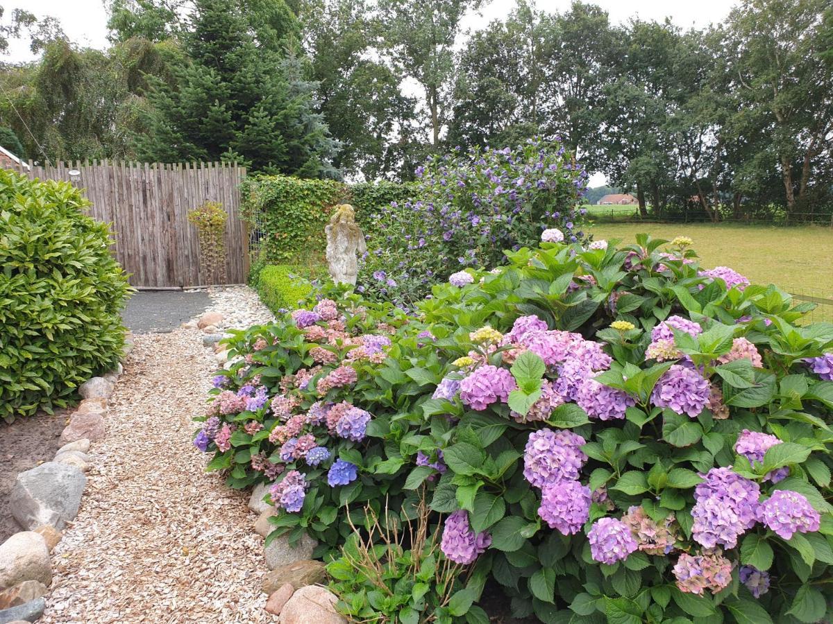 Westert Hoeve Vriescheloo Exteriör bild