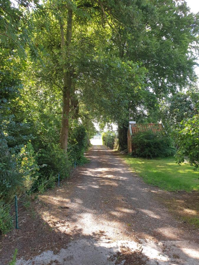 Westert Hoeve Vriescheloo Exteriör bild