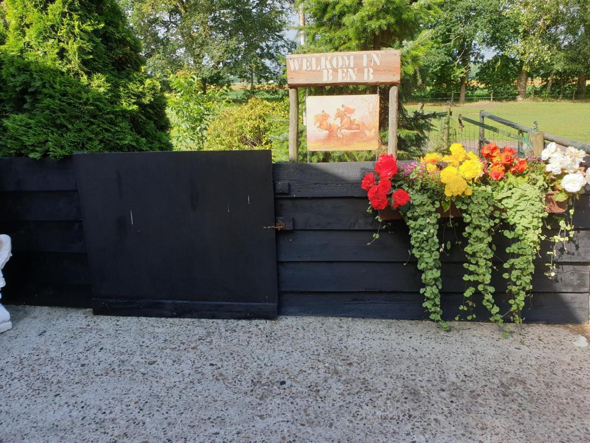 Westert Hoeve Vriescheloo Exteriör bild